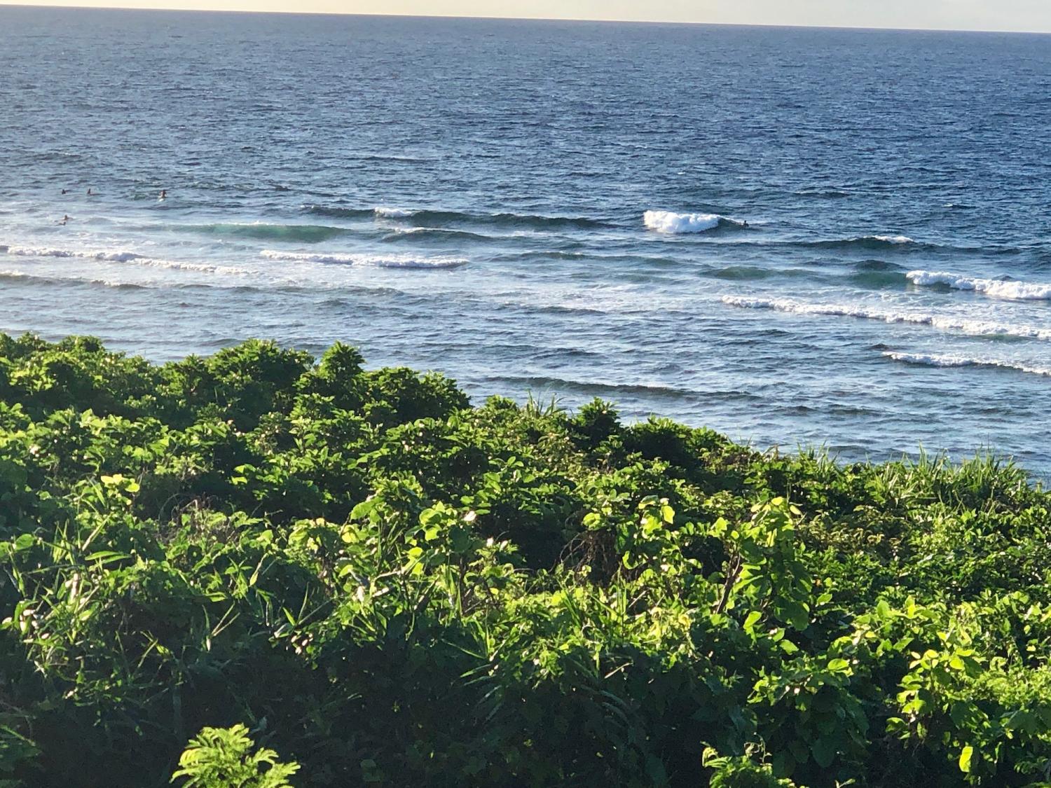 2019 Sep 3rd suicide point wave information 1