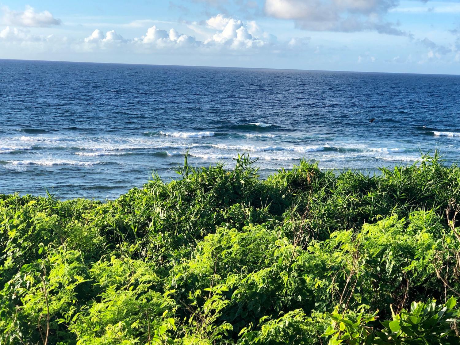 2019 Sep 3rd suicide point wave information 2