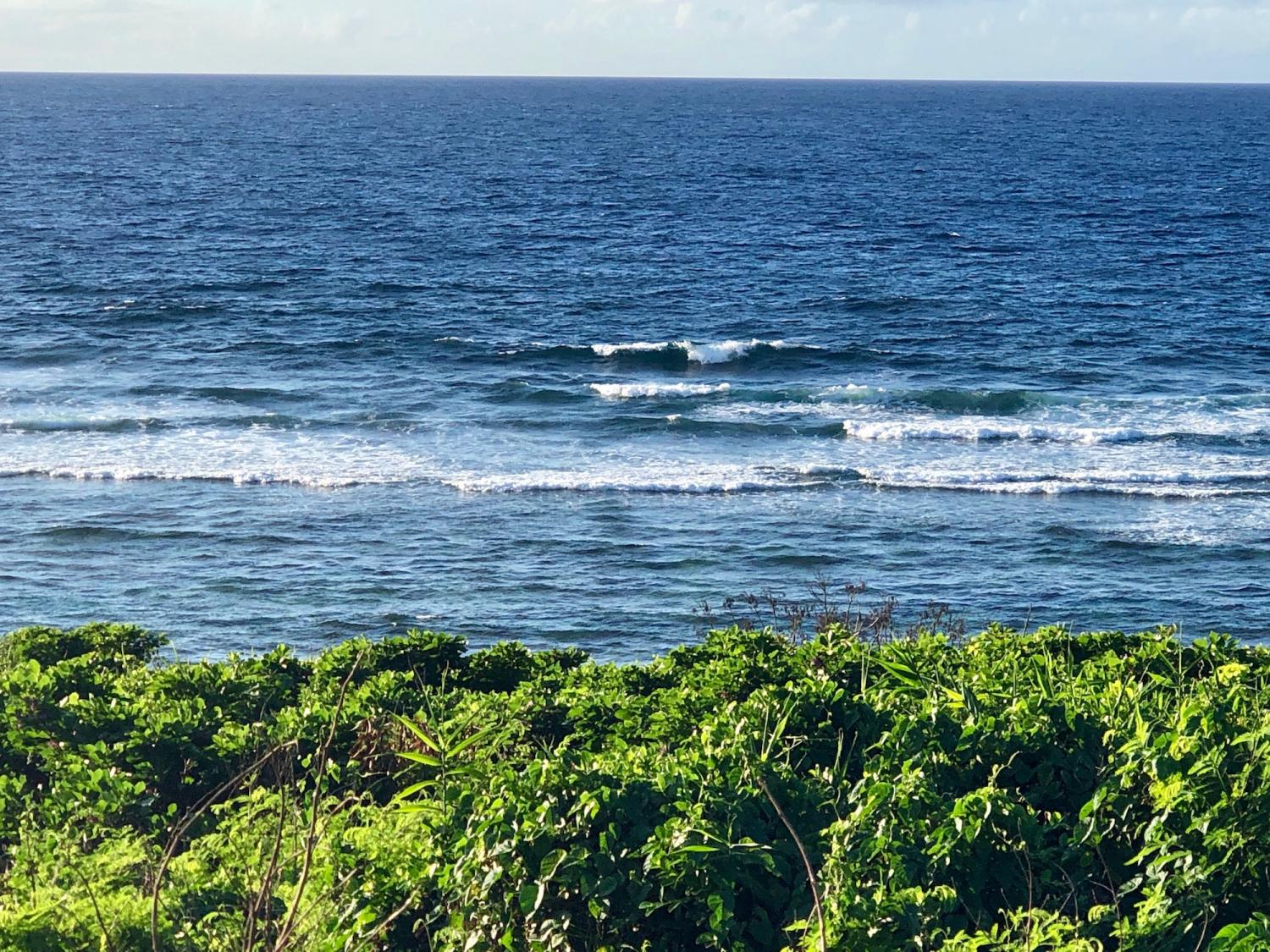 2019 Sep 3rd suicide point wave information 3