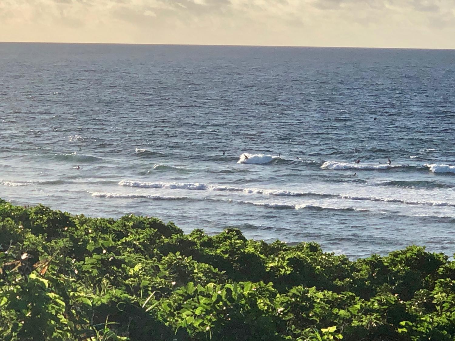 2019 Sep 3rd suicide point wave information 4