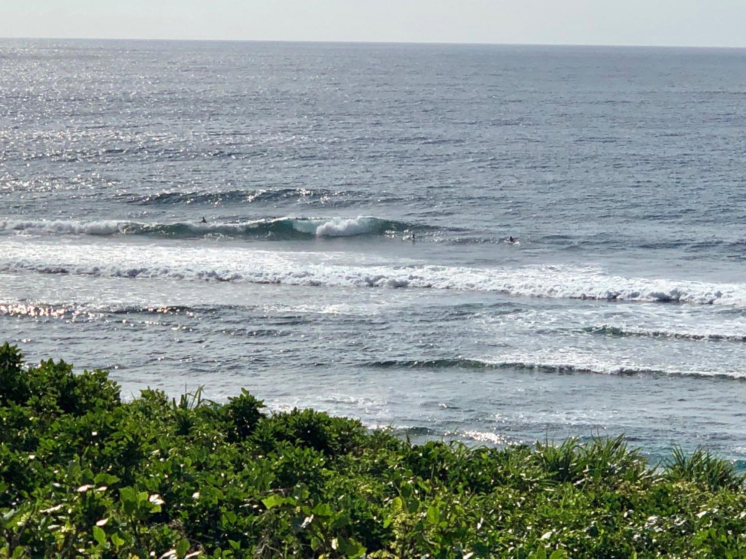2019 Sep 14th suicide point wave information 2