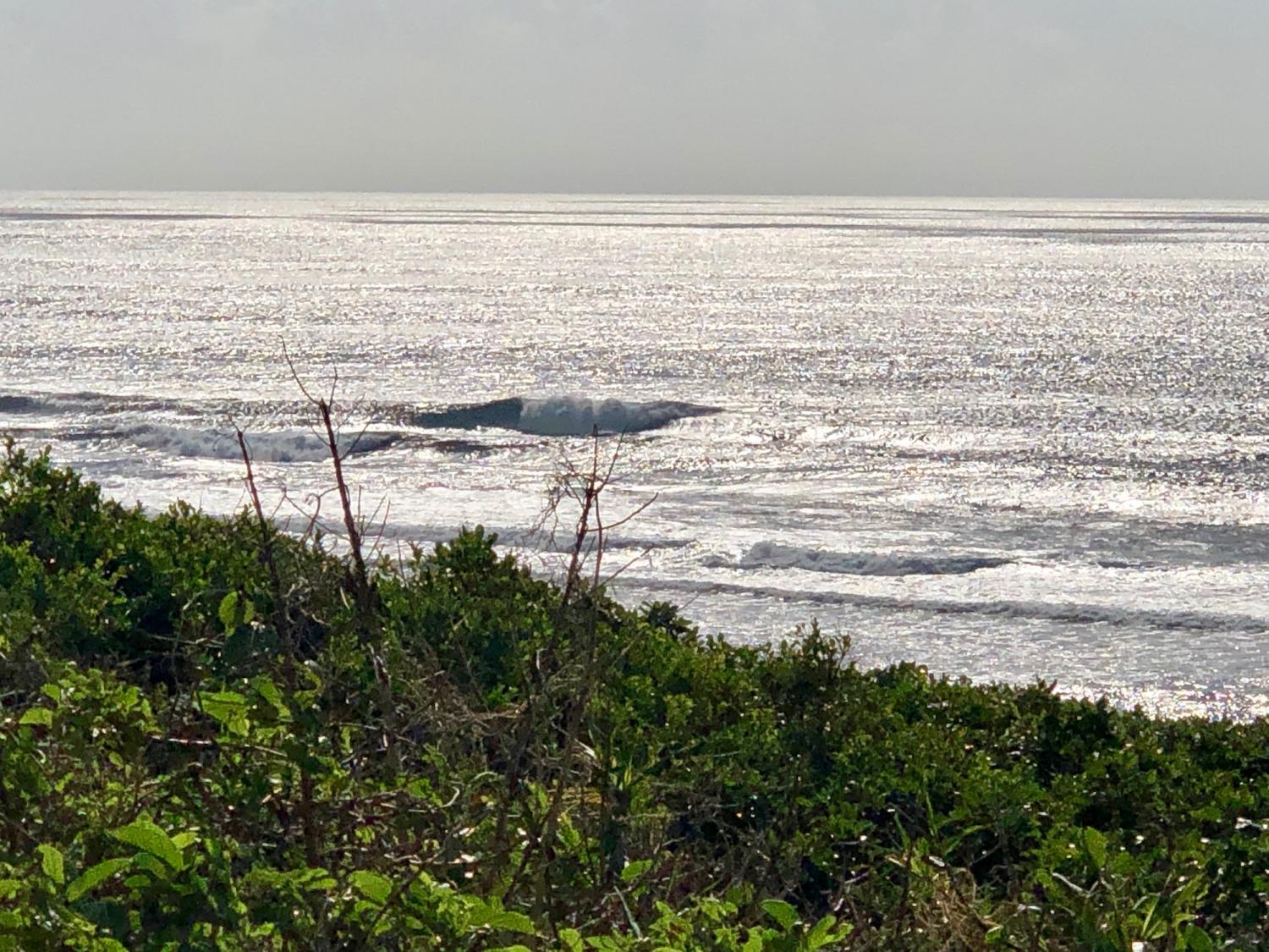 2019 Sep 14th suicide point wave information 3