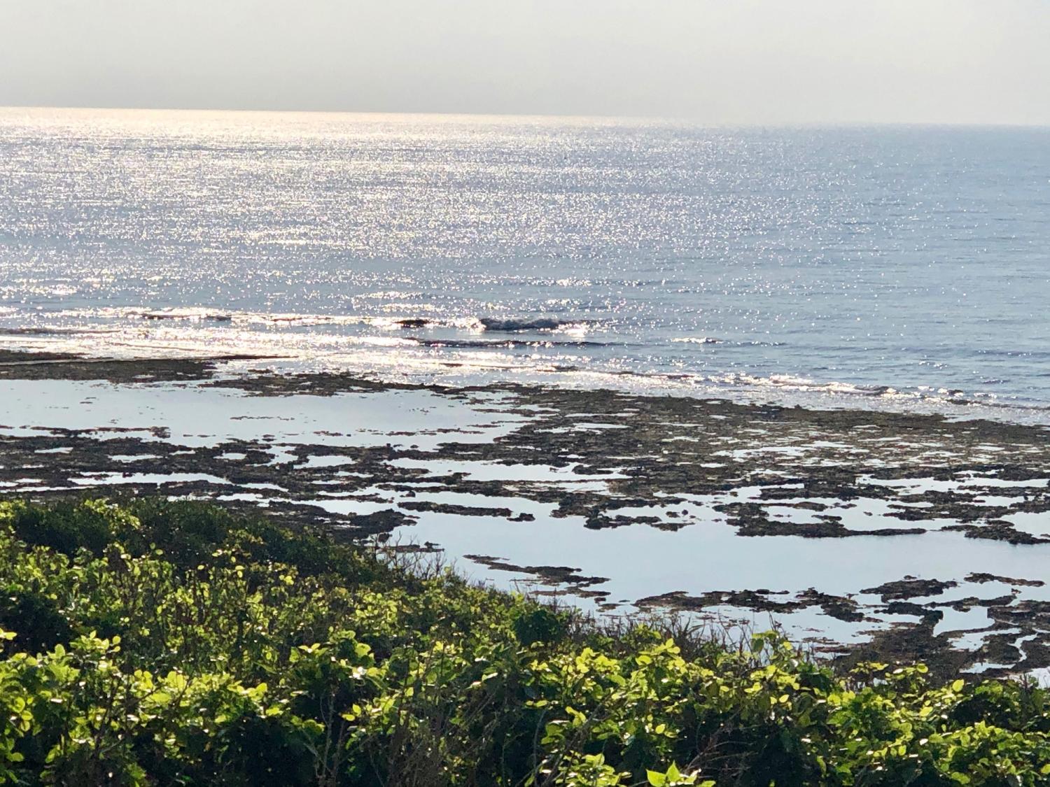 2019 Oct 7th suicide point wave information 2