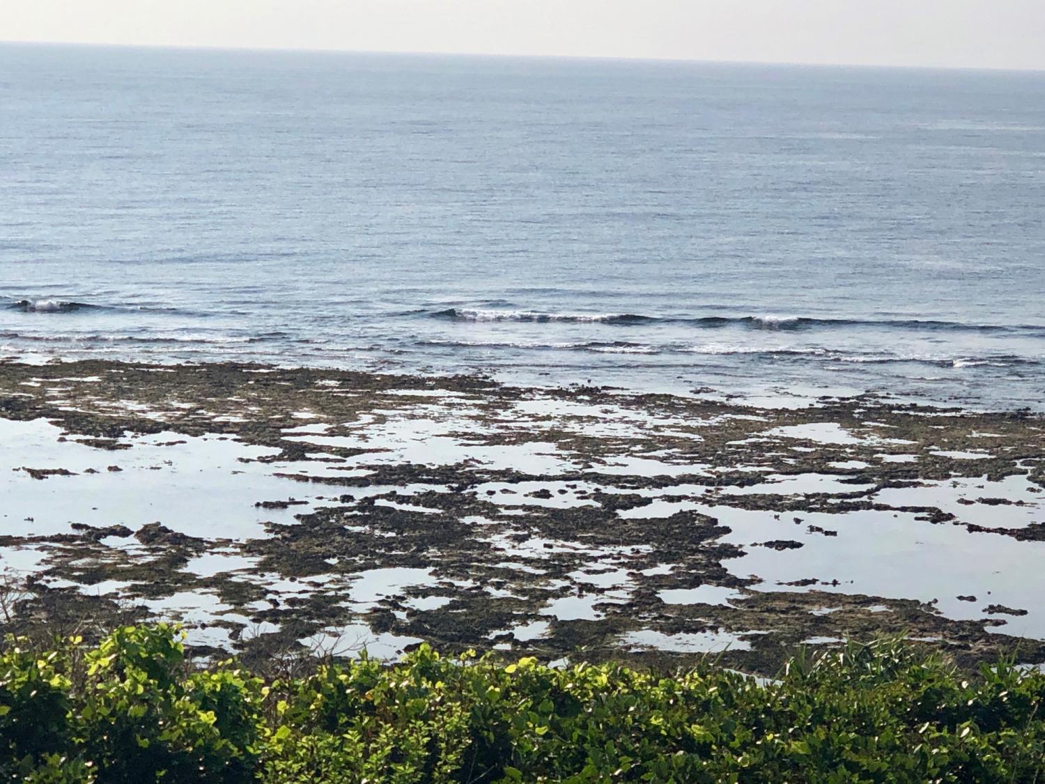 2019 Oct 7th suicide point wave information 3