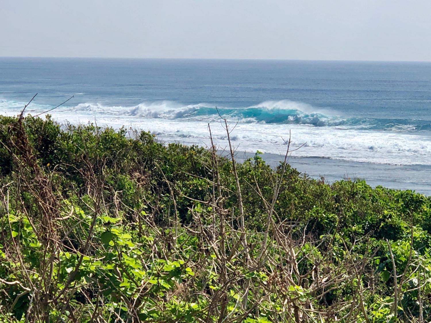 2019 Oct 11th suicide point wave information 2