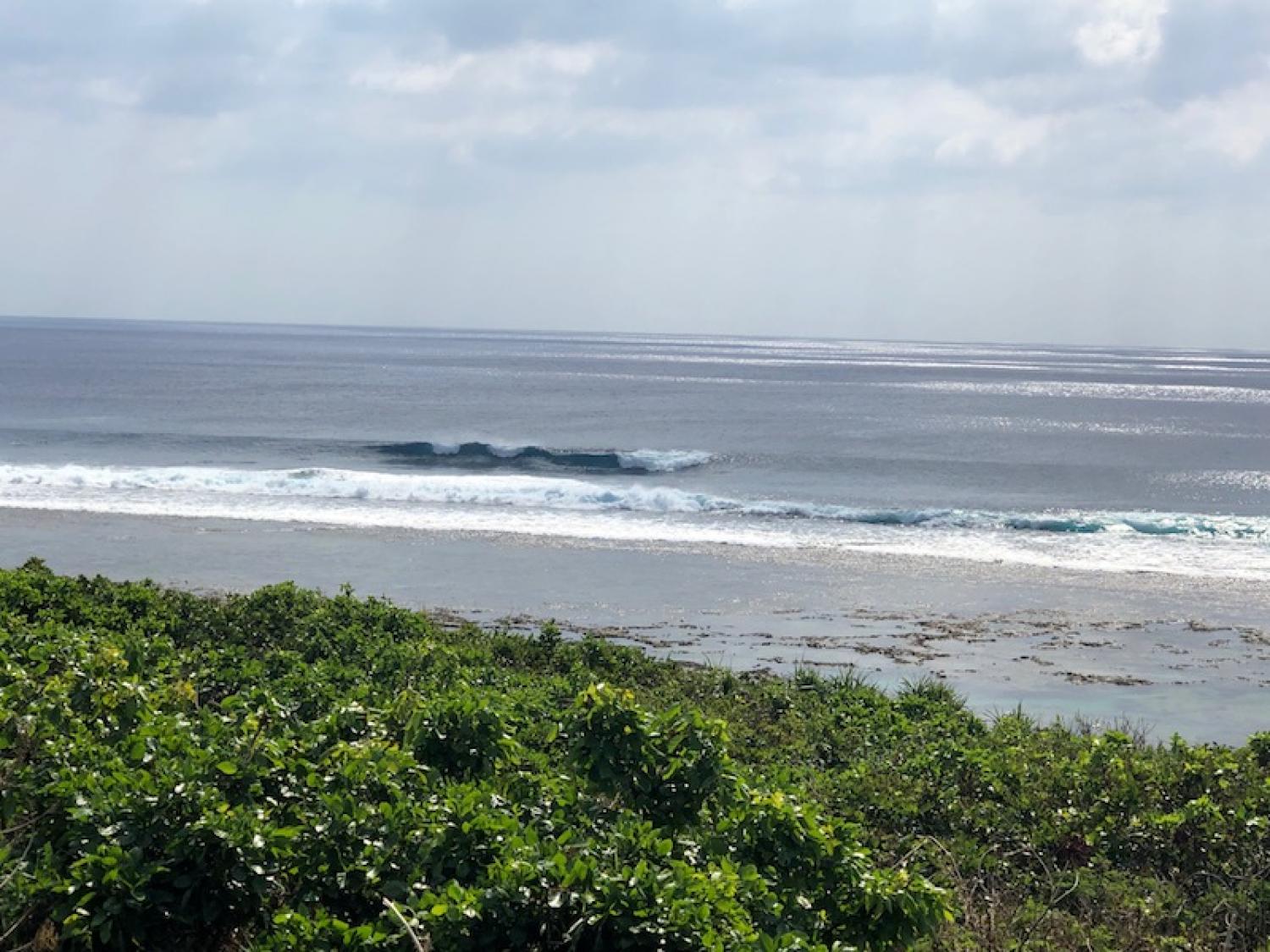 2019 Oct 12th suicide point wave information 2