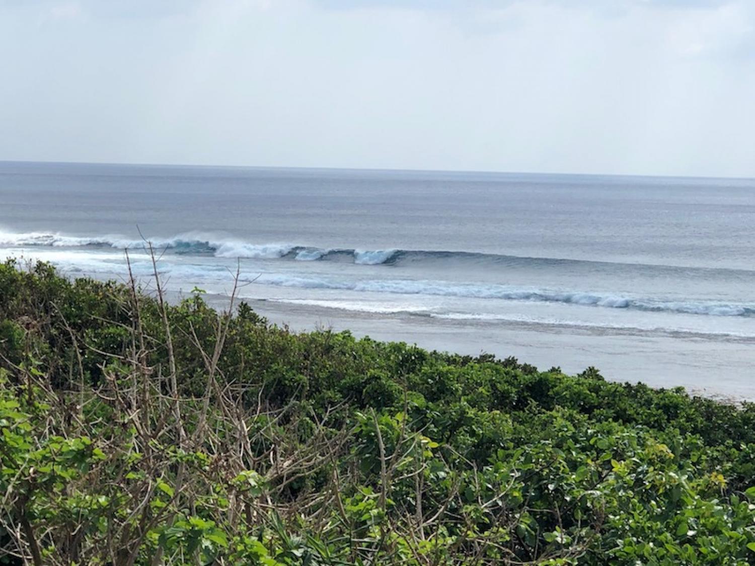 2019 Oct 12th suicide point wave information 3