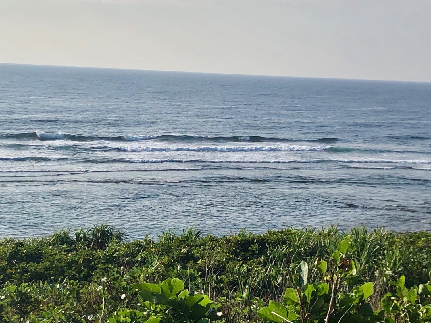 2019 Nov 2nd suicide point wave information