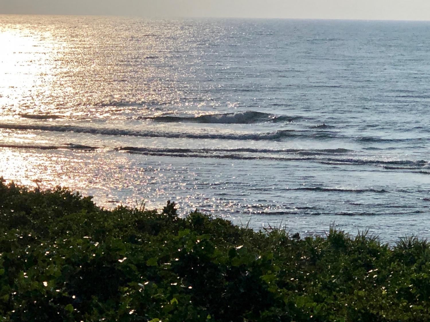 2019 Nov 2nd suicide point wave information 2