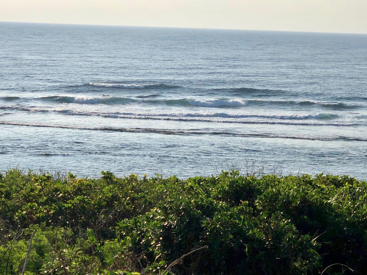 2019 Nov 2nd suicide point wave information 3