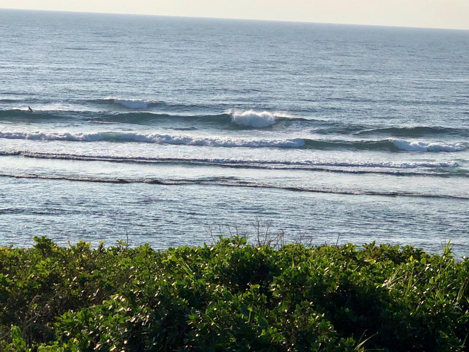 2019 Nov 2nd suicide point wave information 4