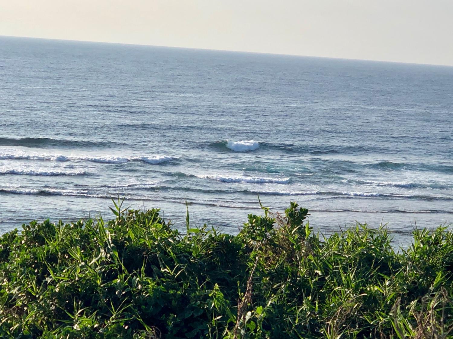 2019 Nov 2nd suicide point wave information 5
