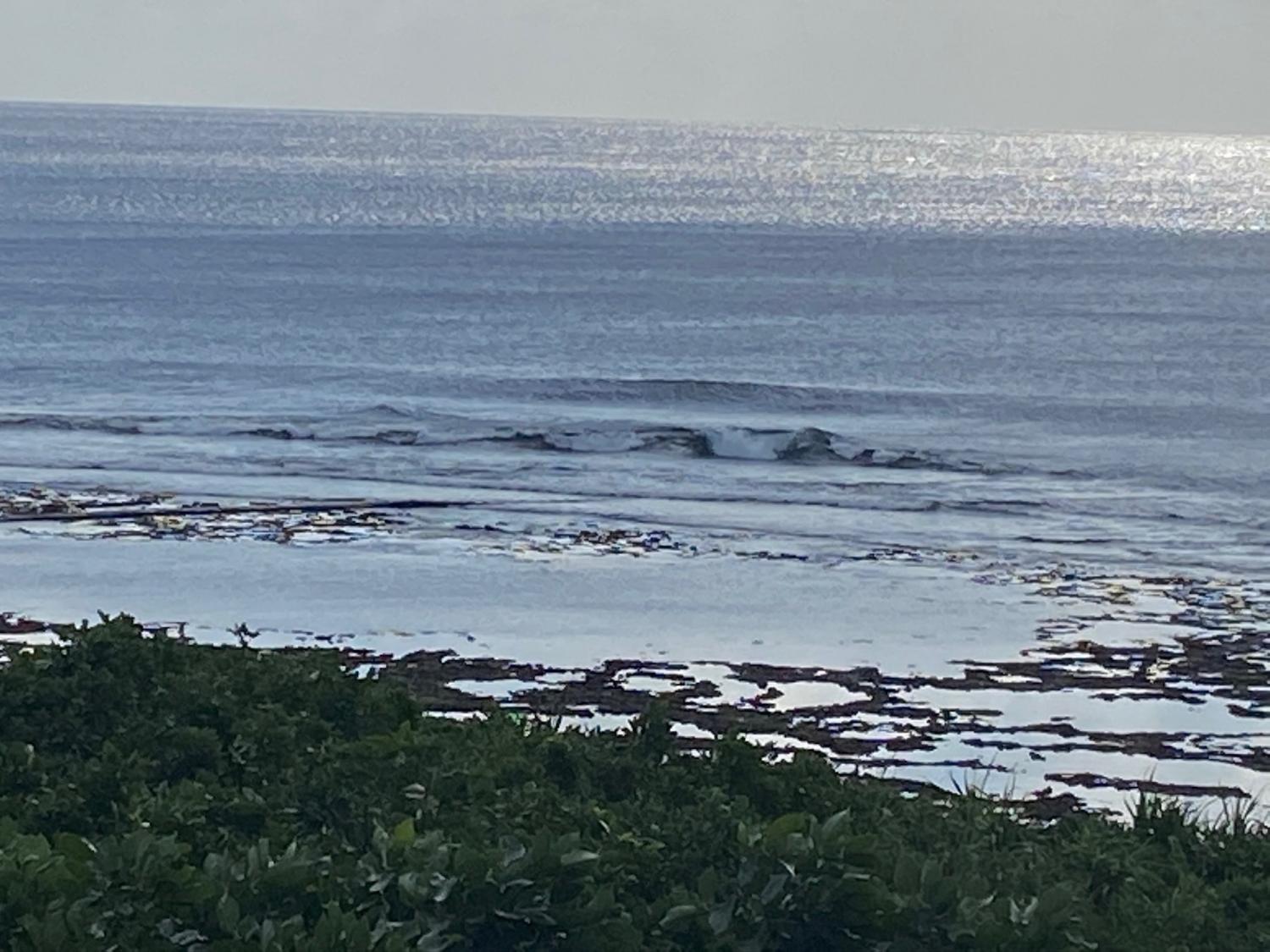 2019 Nov 9th suicide point wave information 2