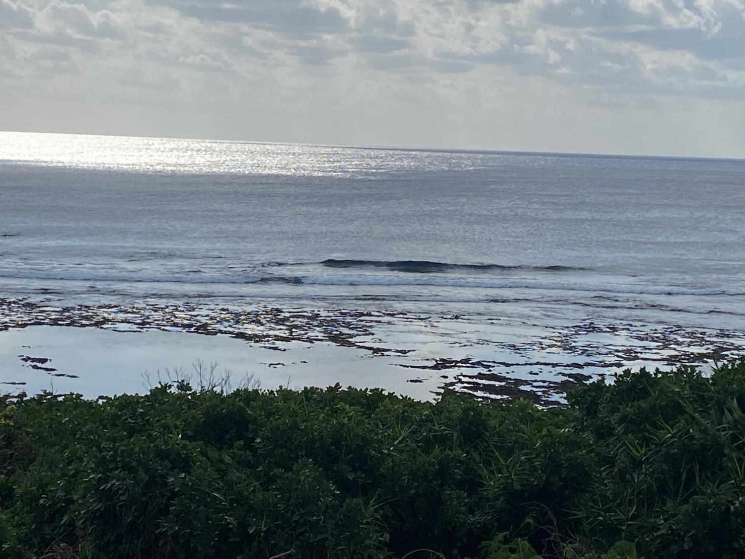 2019 Nov 9th suicide point wave information 3