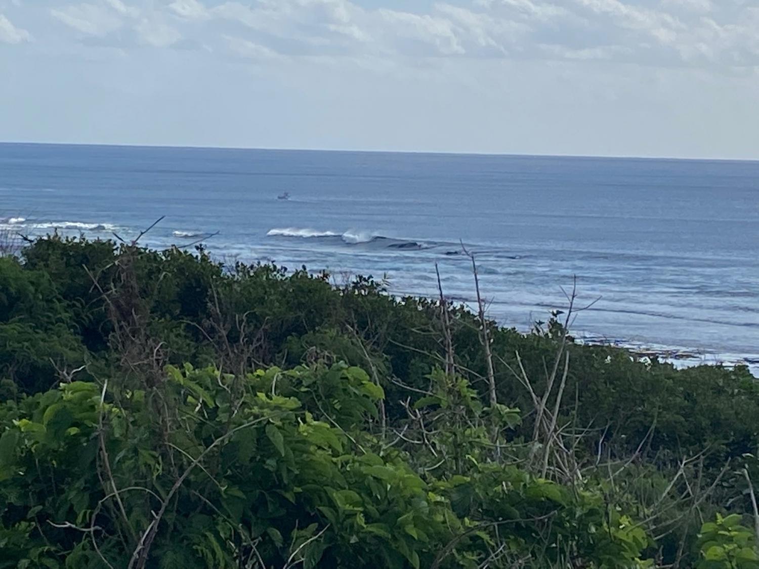 2019 Nov 9th suicide point wave information 4