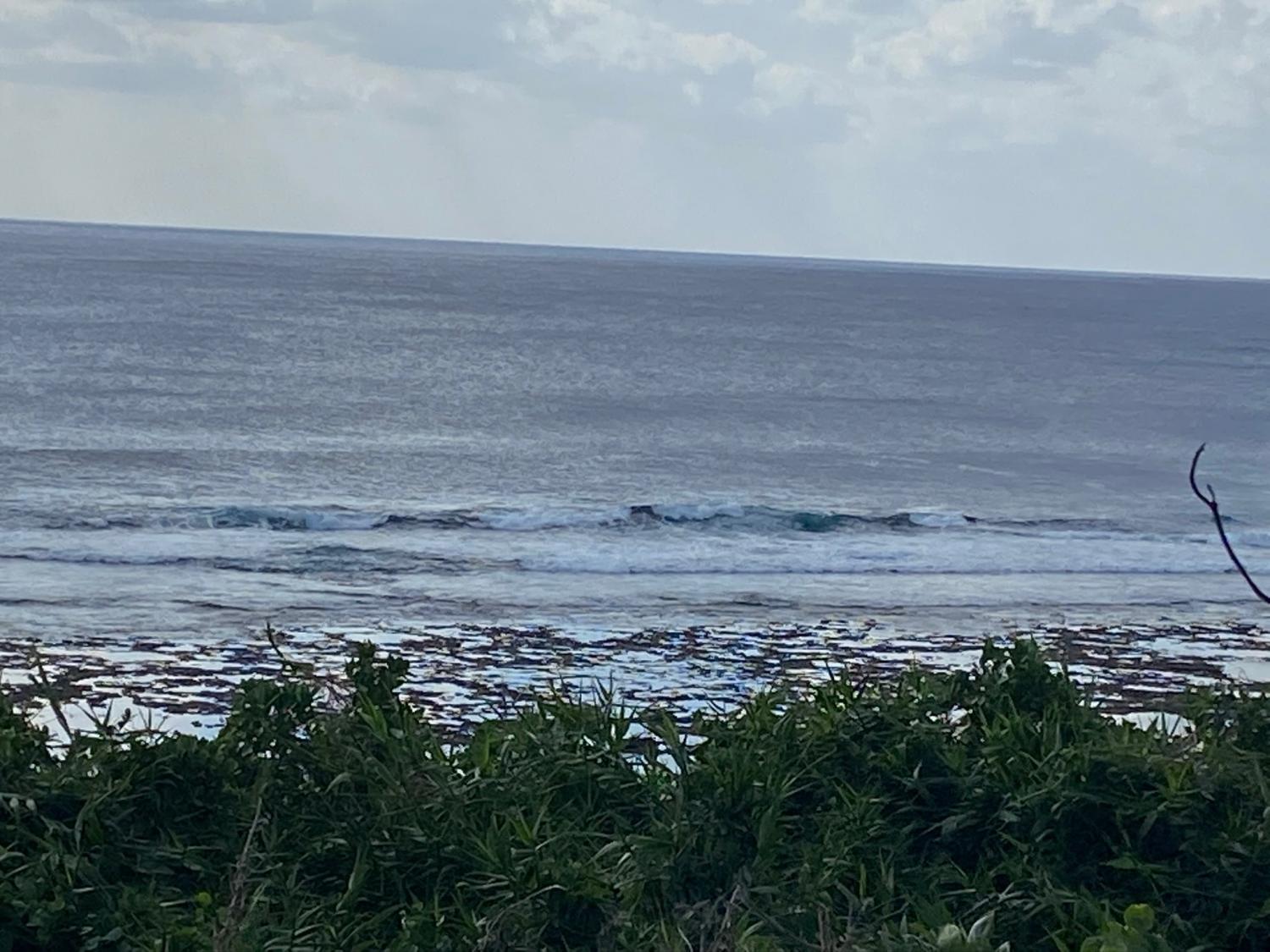 2019 Nov 9th suicide point wave information 5