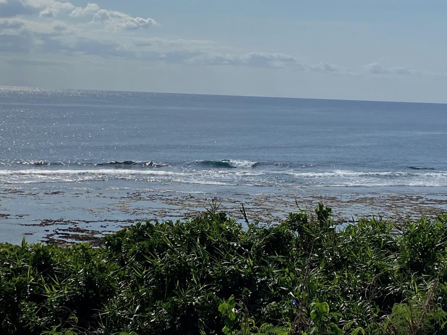 2019 Nov 10th suicide point wave information 2