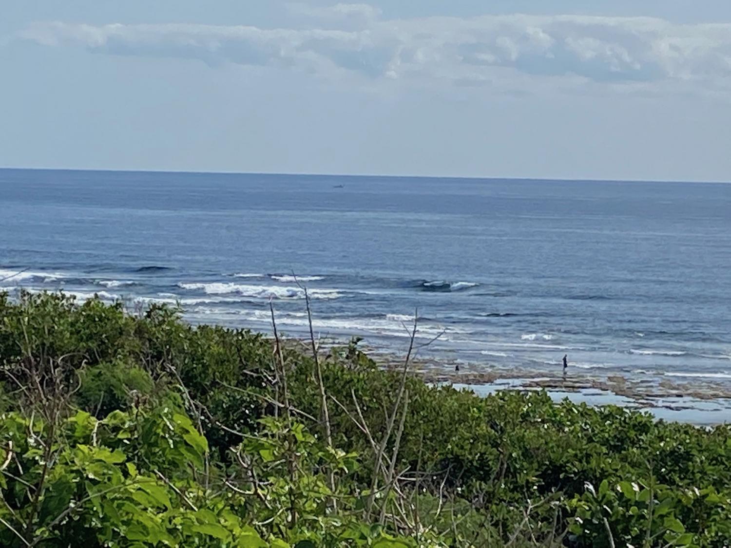 2019 Nov 10th suicide point wave information 3