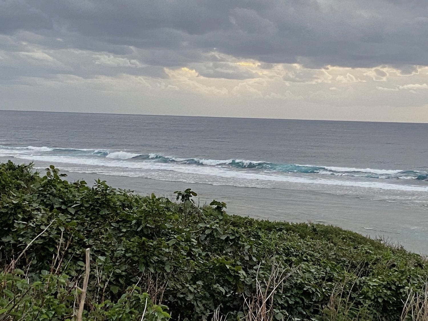 2019 Nov 30th suicide point wave information 2