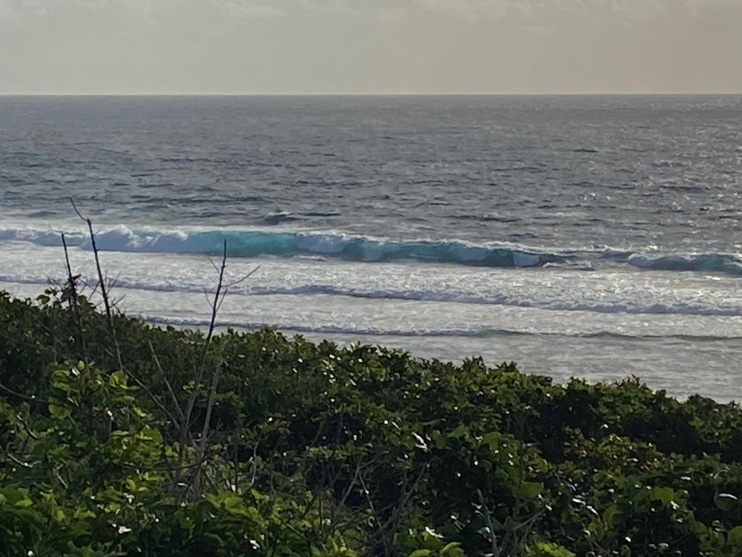 2019 Dec 1st suicide point wave information 2