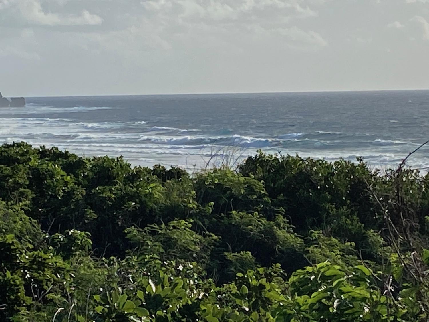 2019 Dec 1st suicide point wave information 3