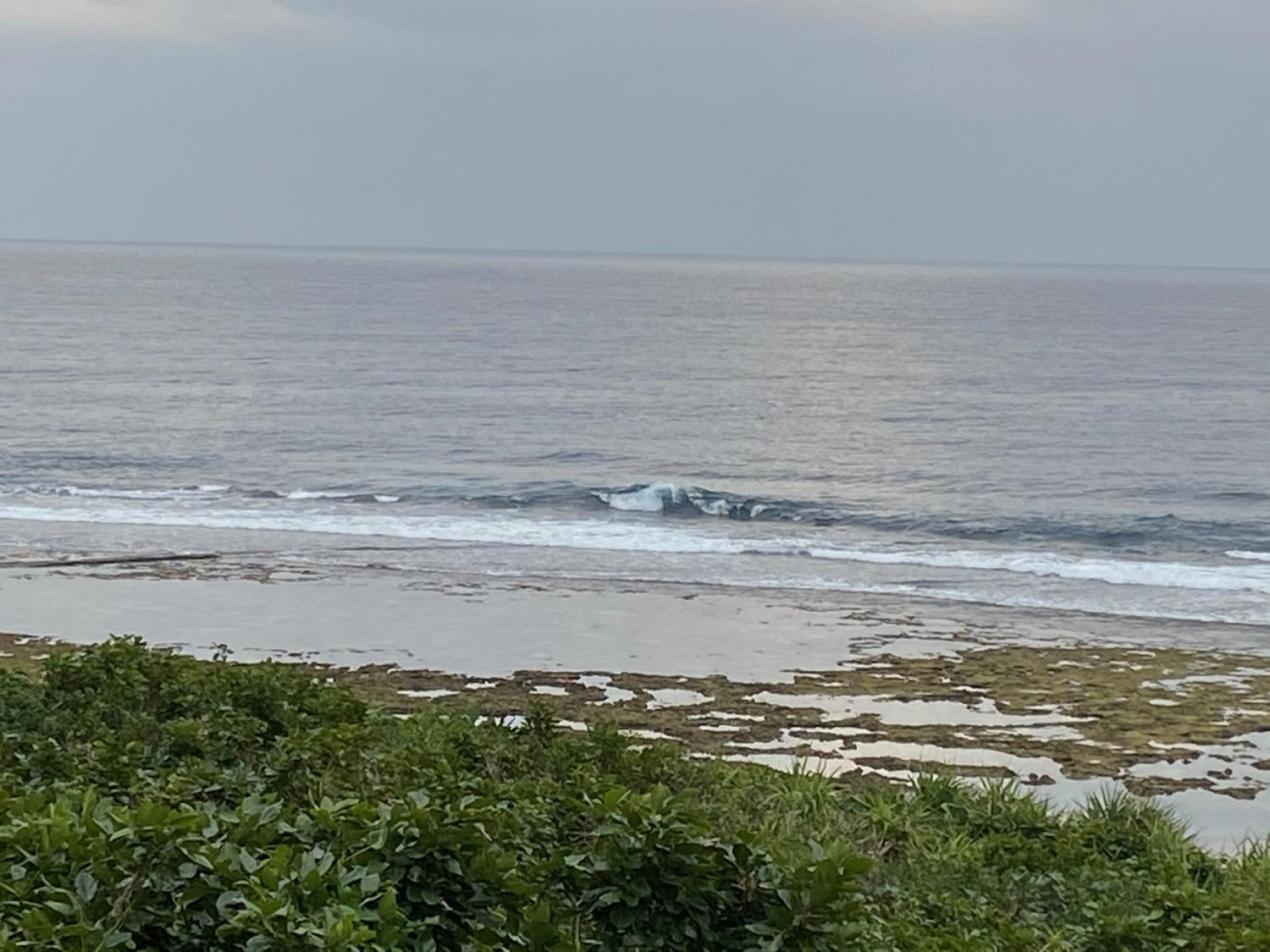 2019 Dec 19th suicide point wave information 4