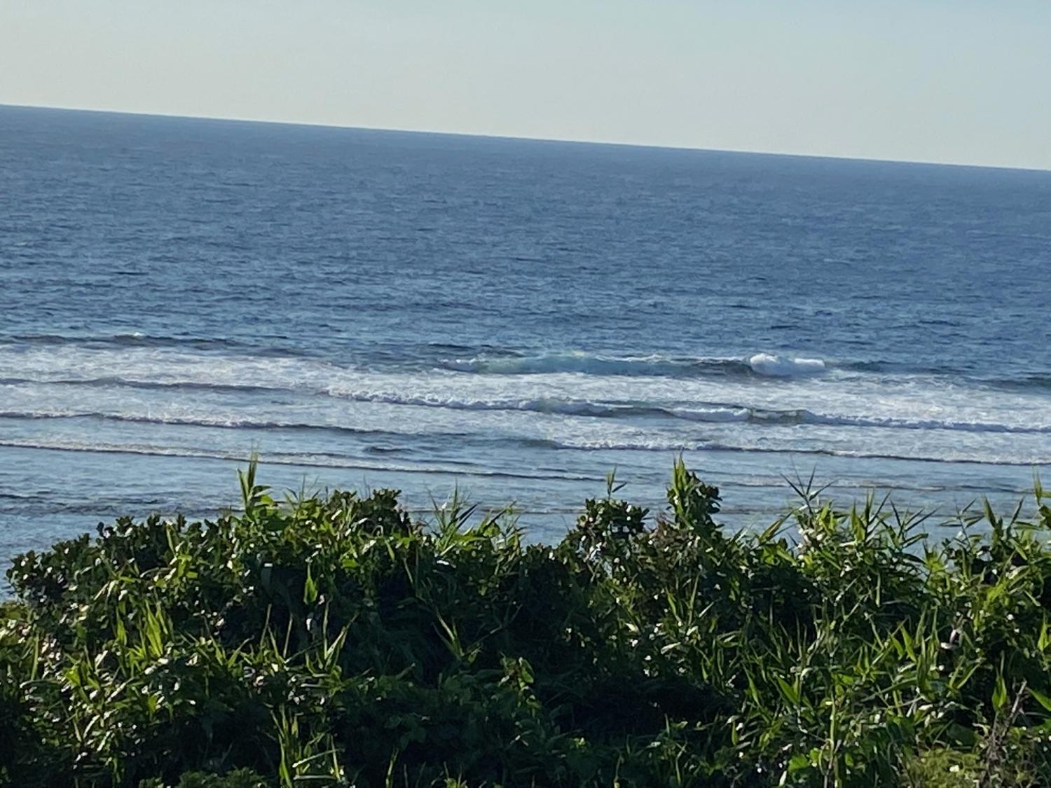 2019 Dec 24th suicide point wave information 2