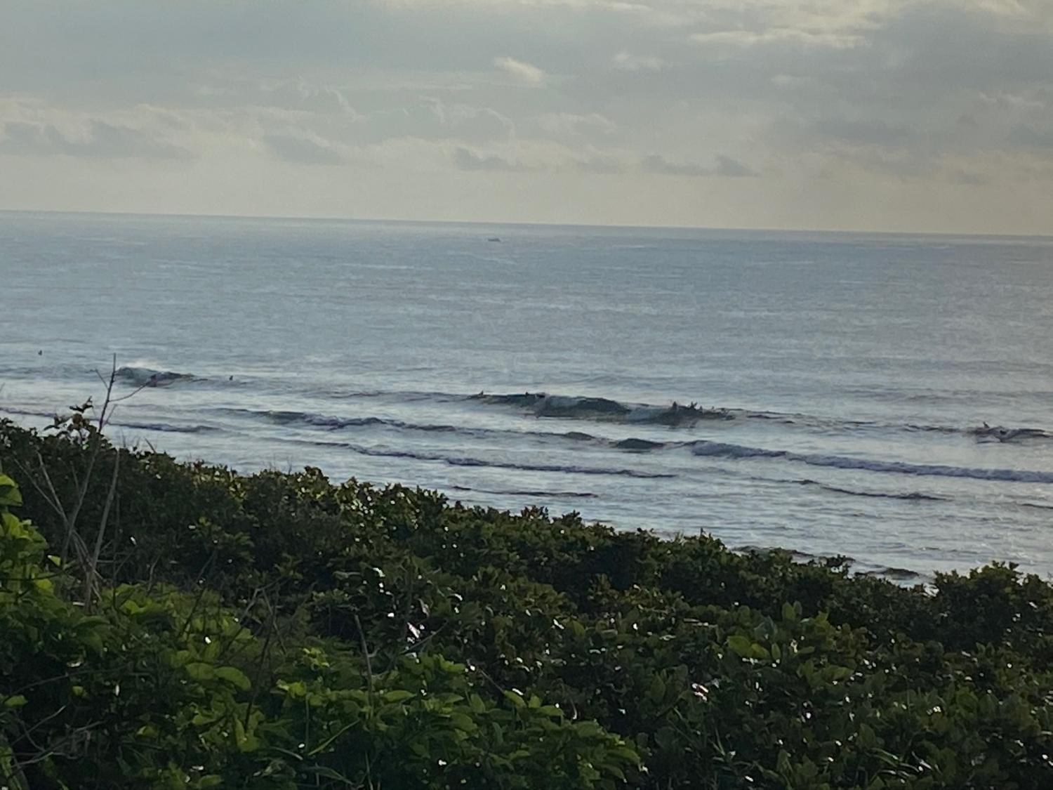 2019 Dec 26th suicide point wave information 2