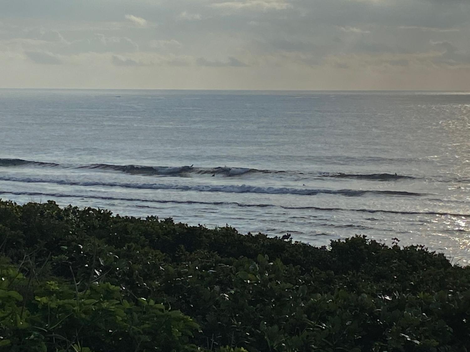 2019 Dec 26th suicide point wave information 4