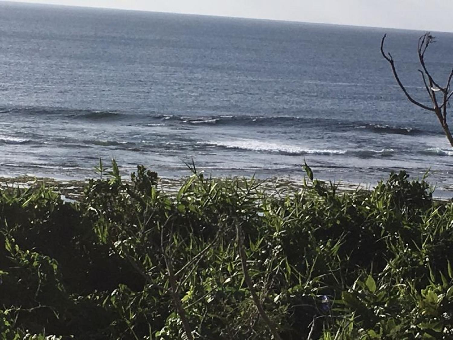 2020 Jan 5th suicide point wave information 2