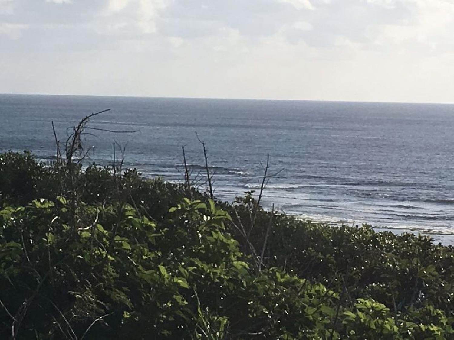 2020 Jan 5th suicide point wave information 3