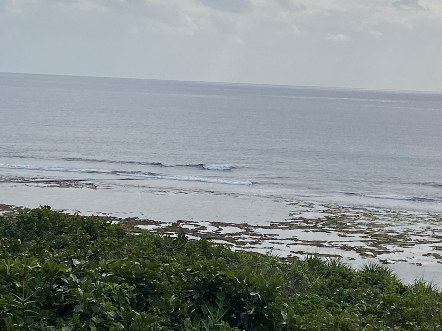 2020 Jan 9th suicide point wave information 1