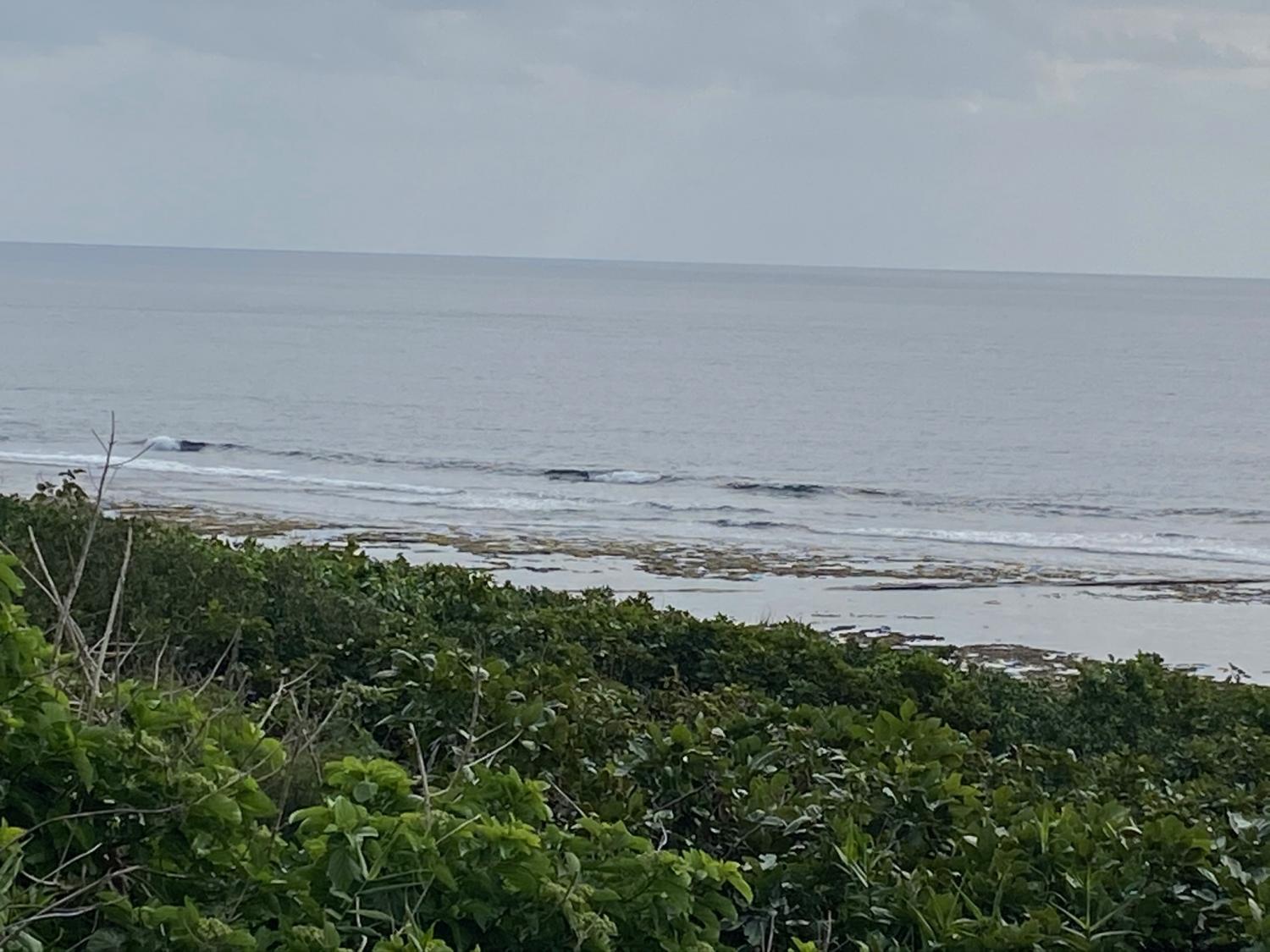 2020 Jan 9th suicide point wave information 2