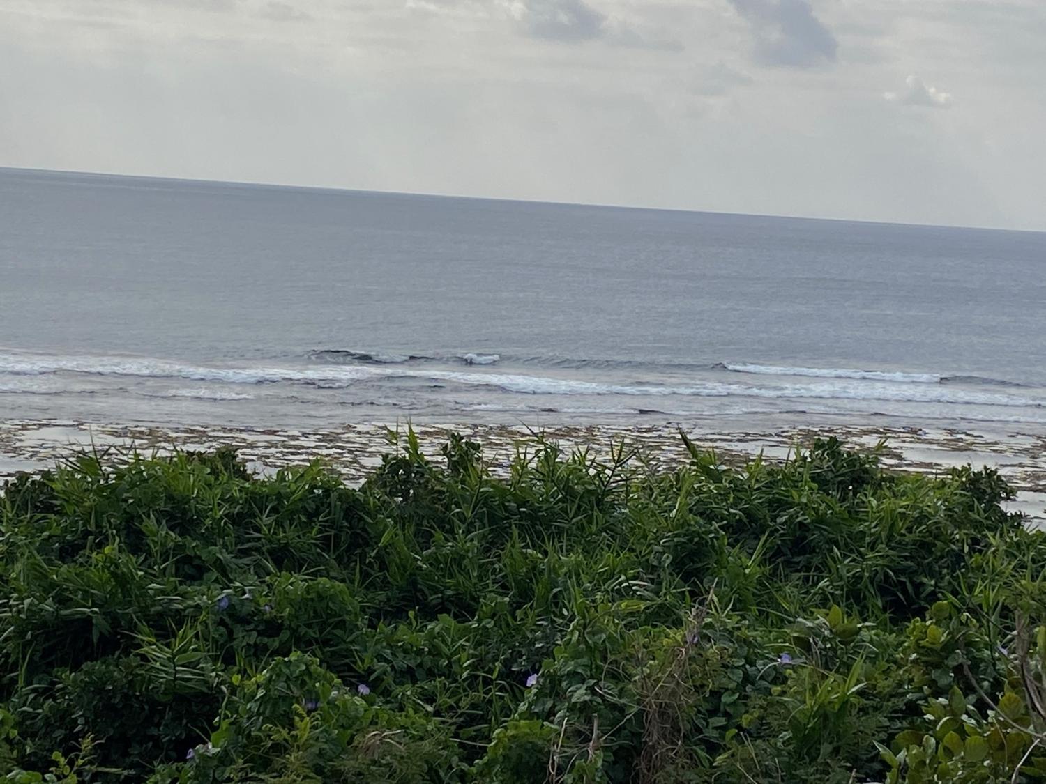 2020 Jan 9th suicide point wave information 3