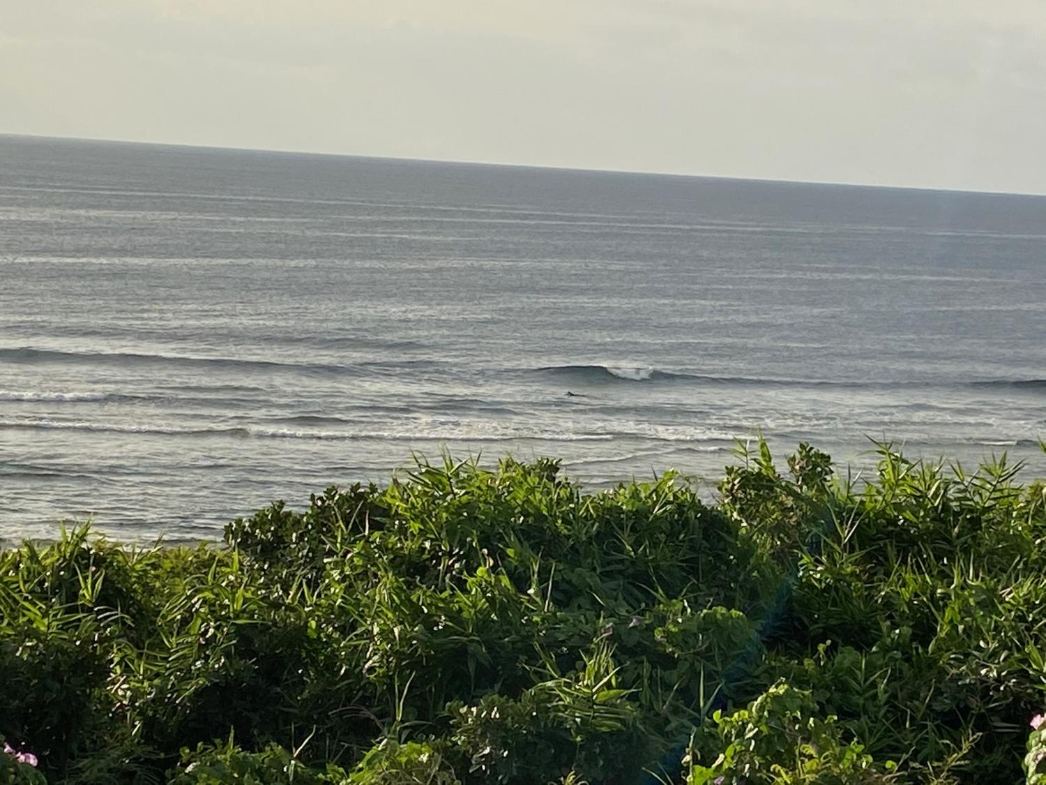 2020 Jan 10th suicide point wave information 1