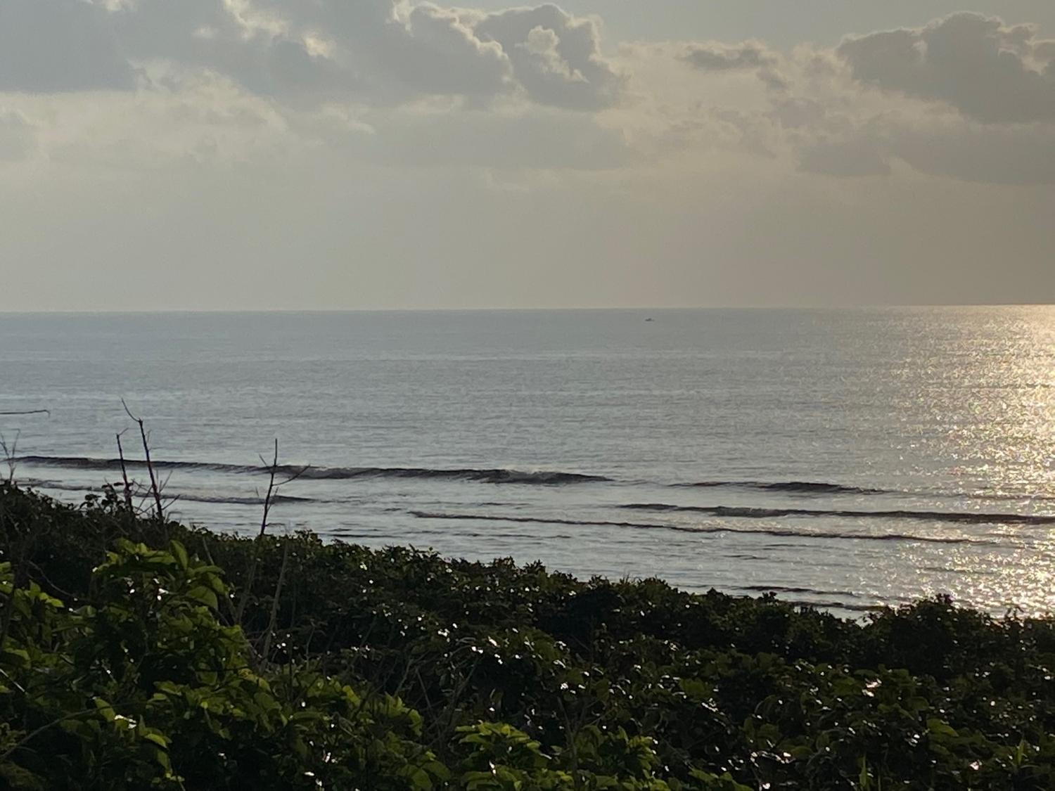 2020 Jan 10th suicide point wave information 2