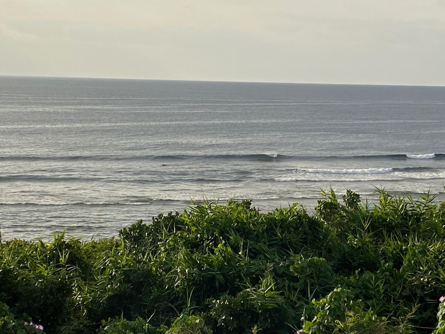 2020 Jan 10th suicide point wave information 3