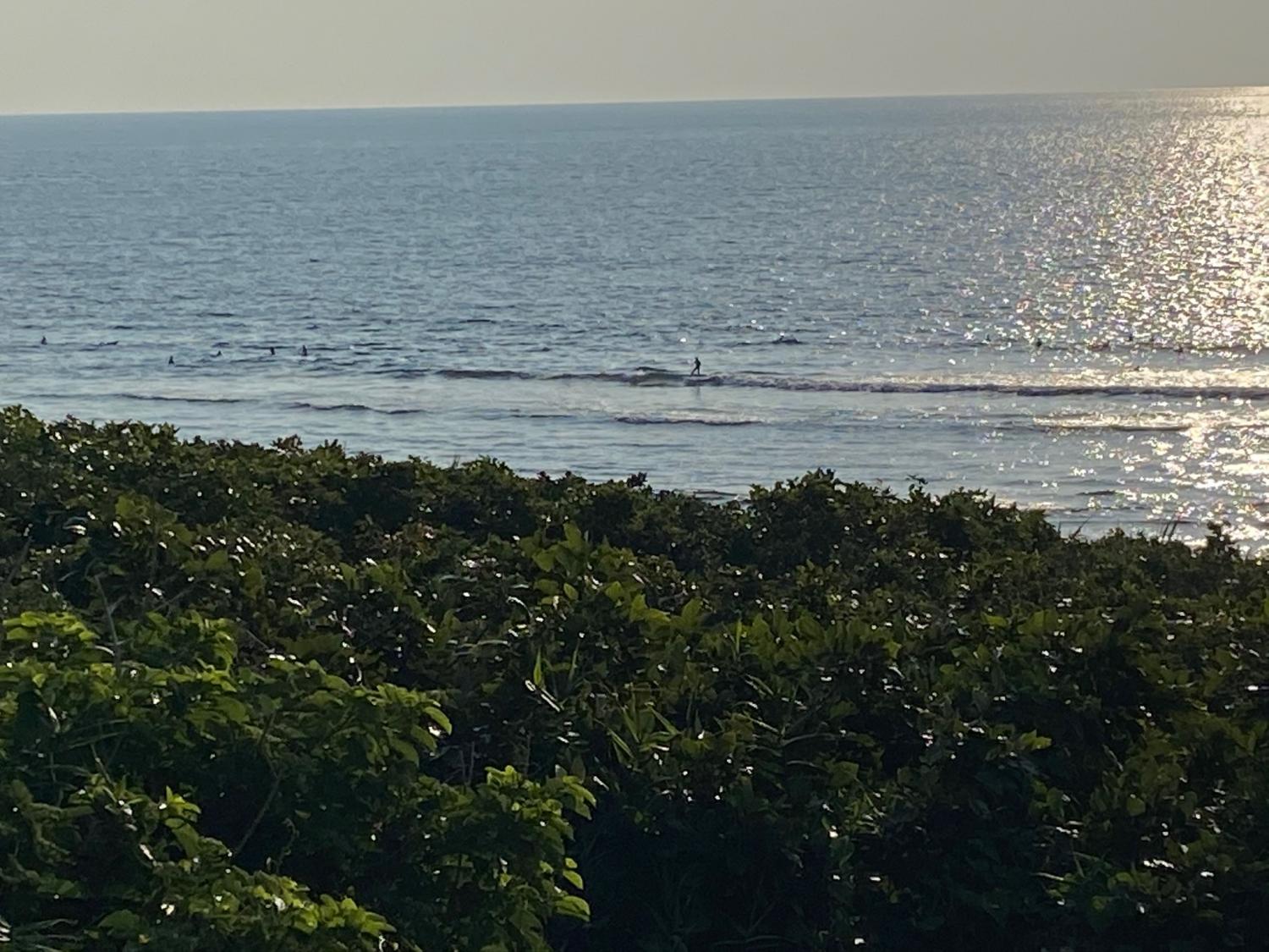 2020 Jan 11th suicide point wave information 1