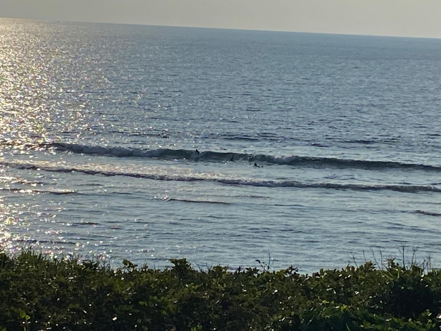 2020 Jan 11th suicide point wave information 2