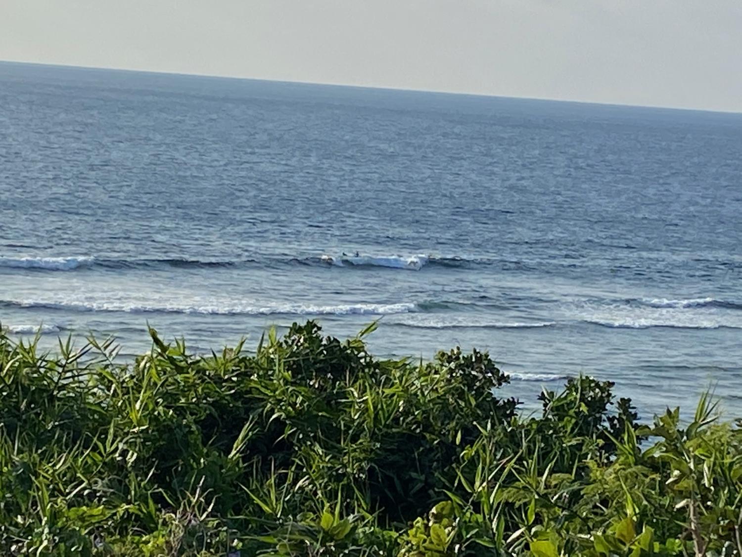 2020 Jan 11th suicide point wave information 3