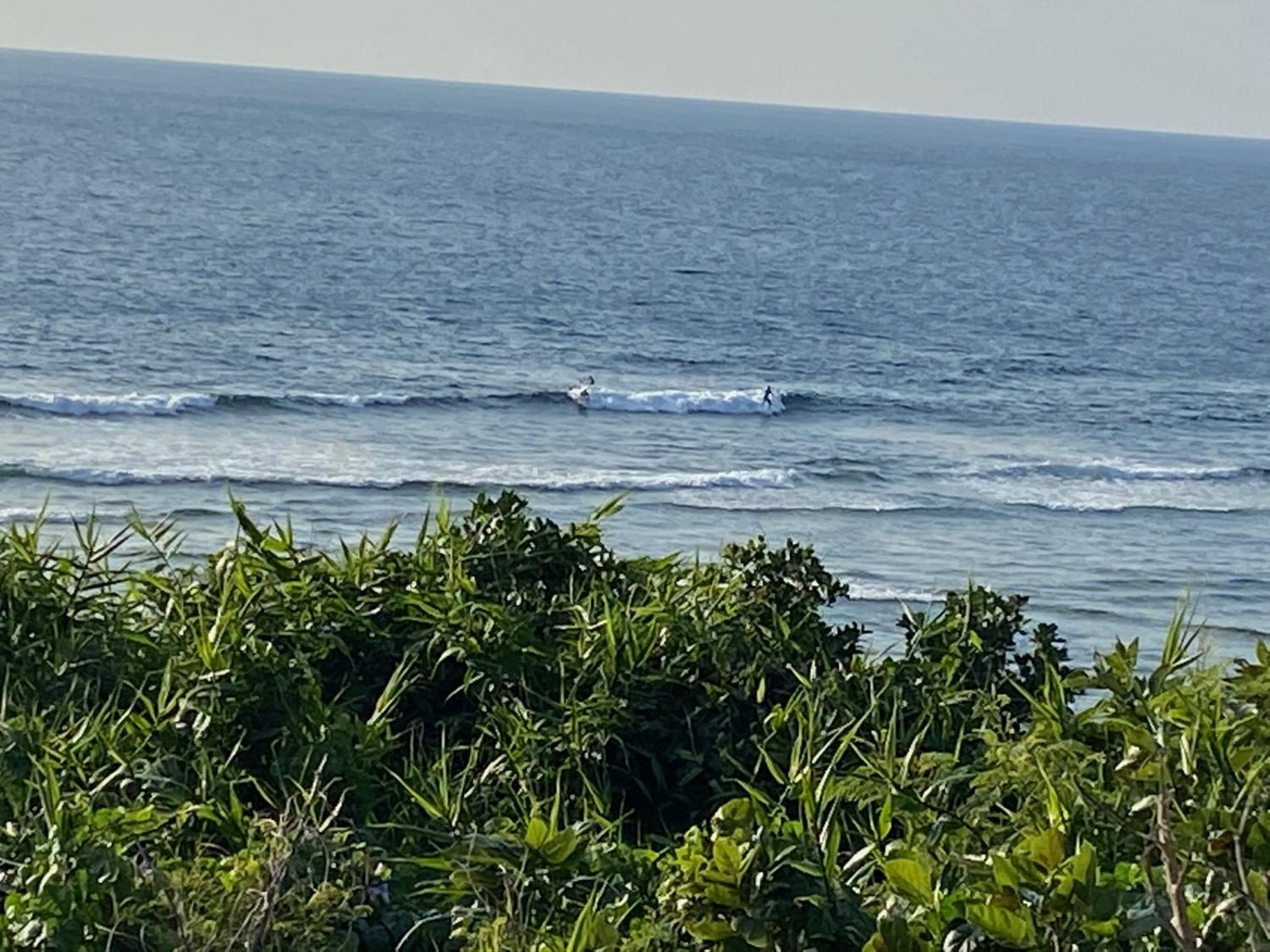 2020 Jan 11th suicide point wave information 4
