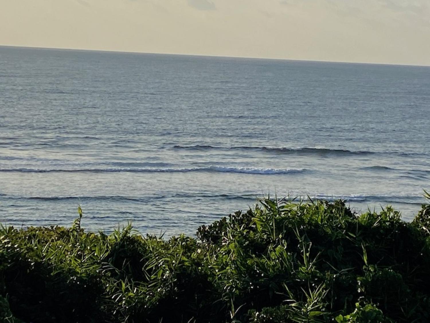 2020 Jan 14th suicide point wave information 2