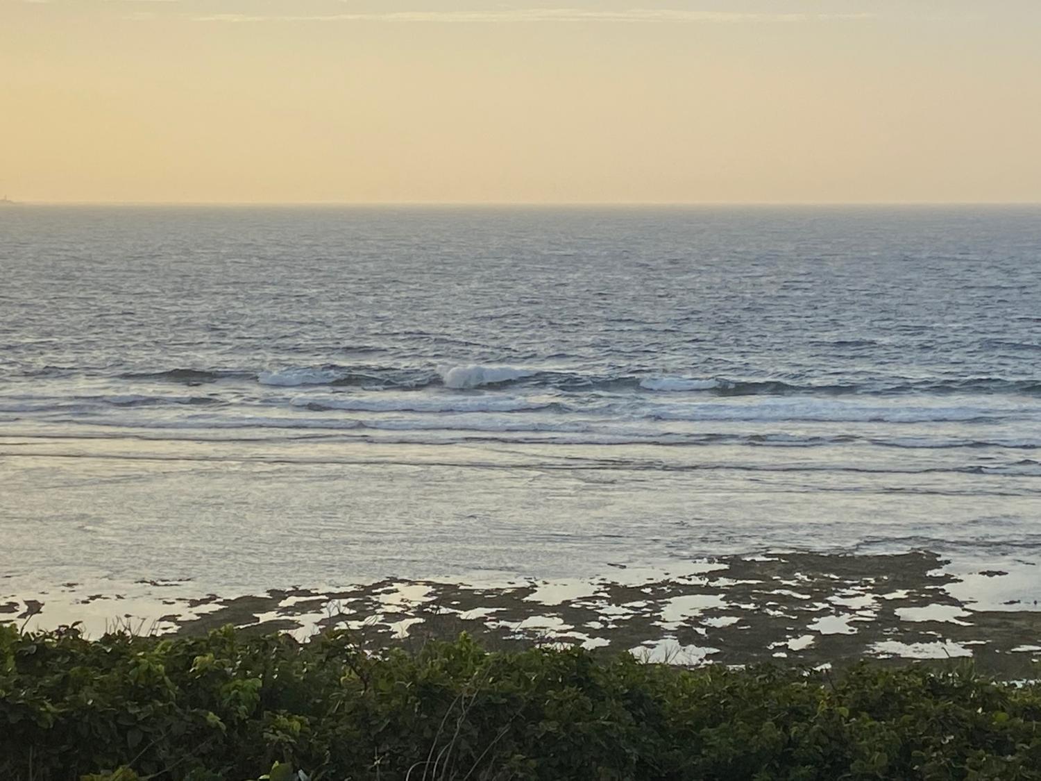 2020 Jan 14th suicide point wave information 4
