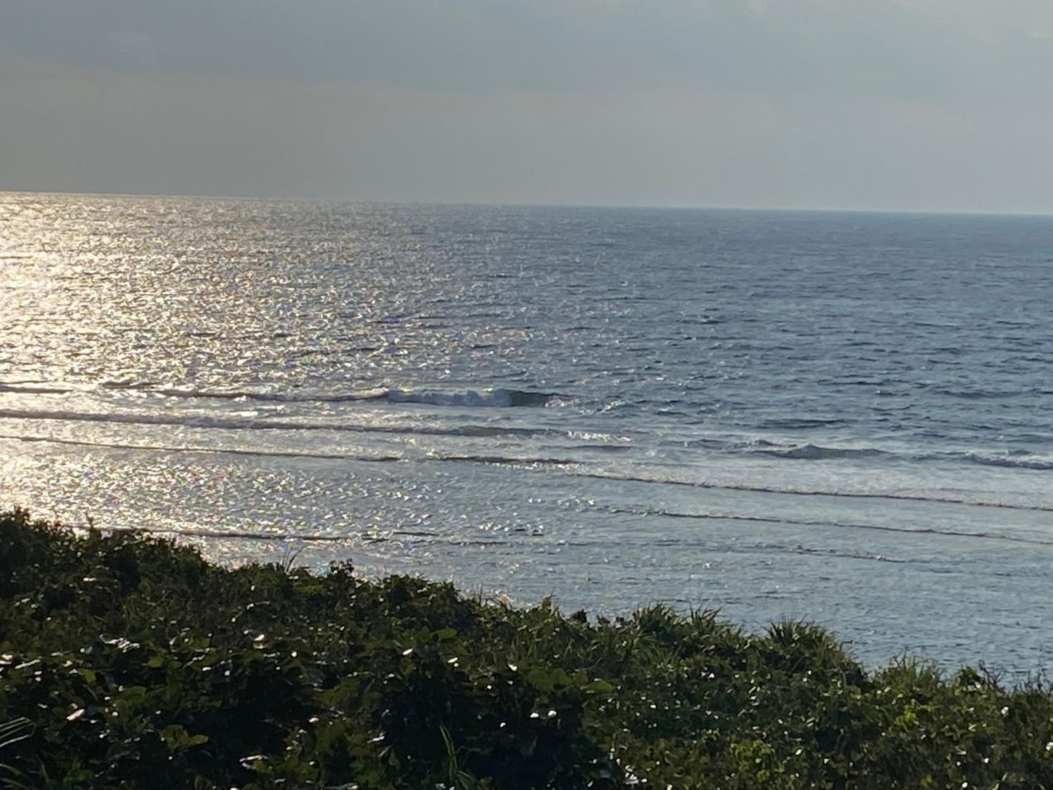 2020 Jan 21th suicide point wave information