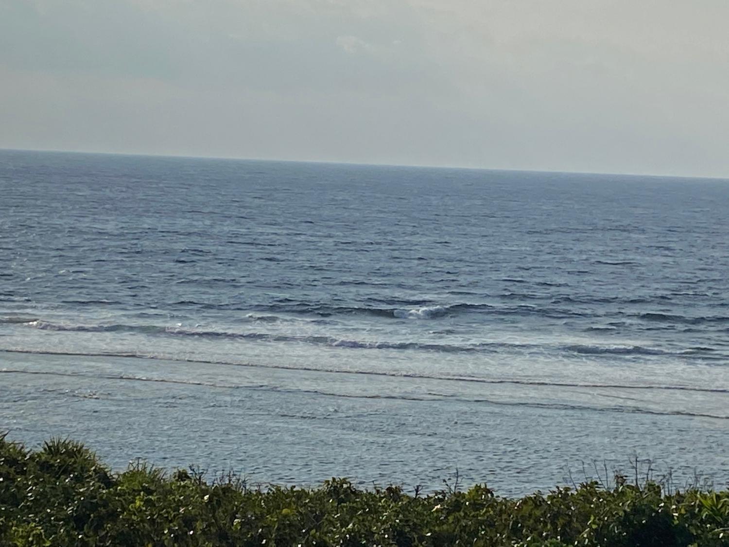 2020 Jan 21th suicide point wave information 2