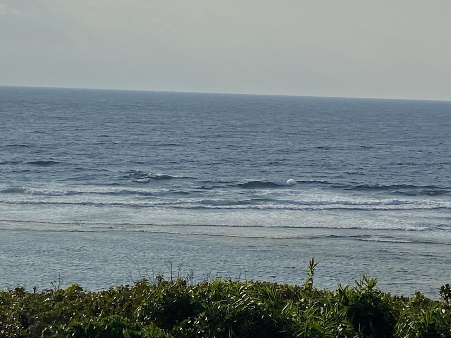 2020 Jan 21th suicide point wave information 3
