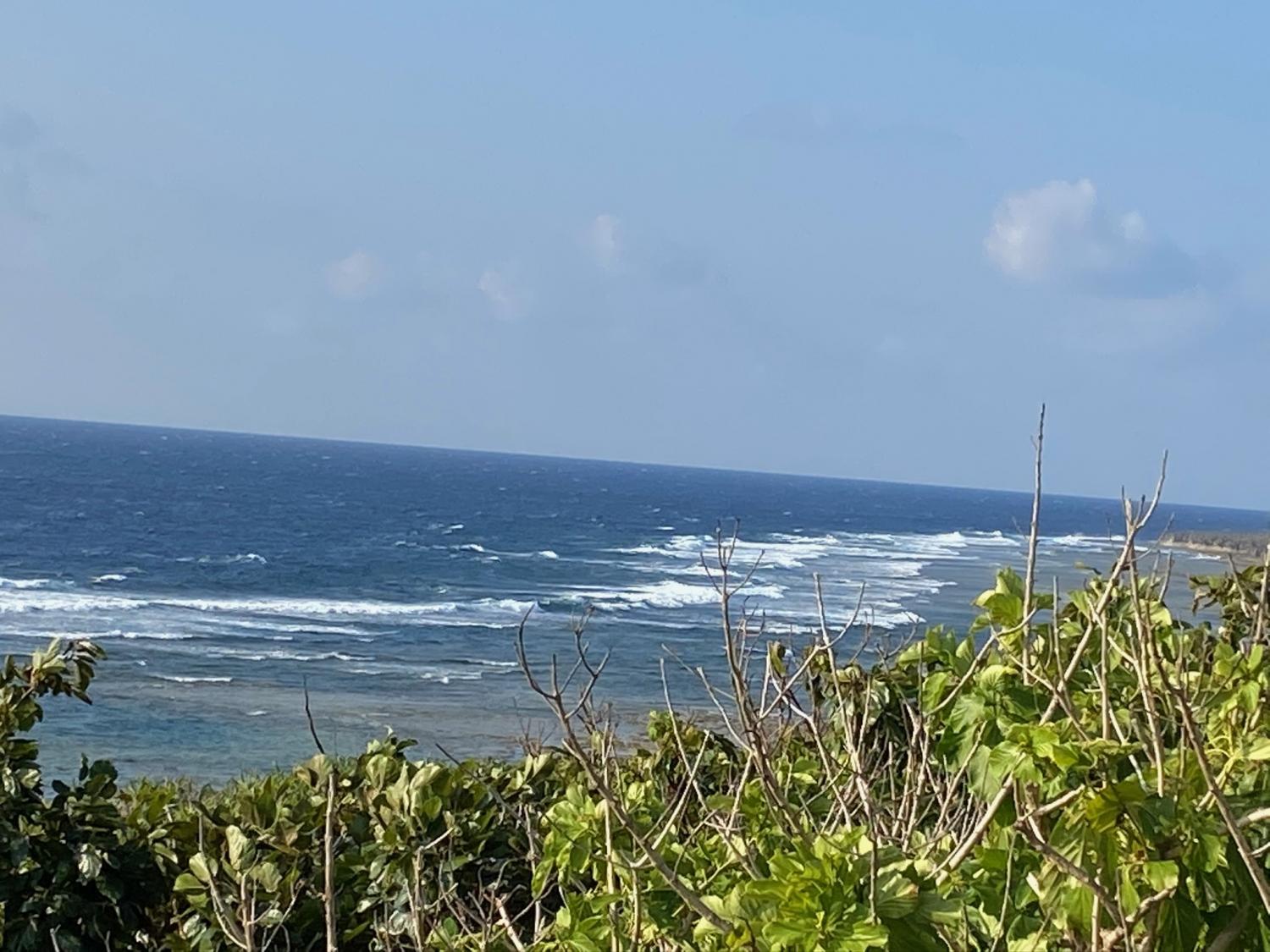 2020 Jan 21th suicide point wave information 4