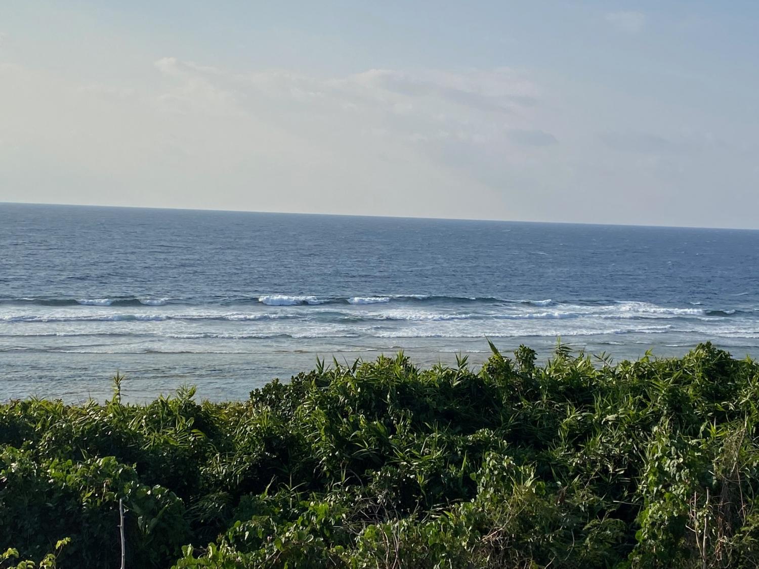 2020 Jan 21th suicide point wave information 5