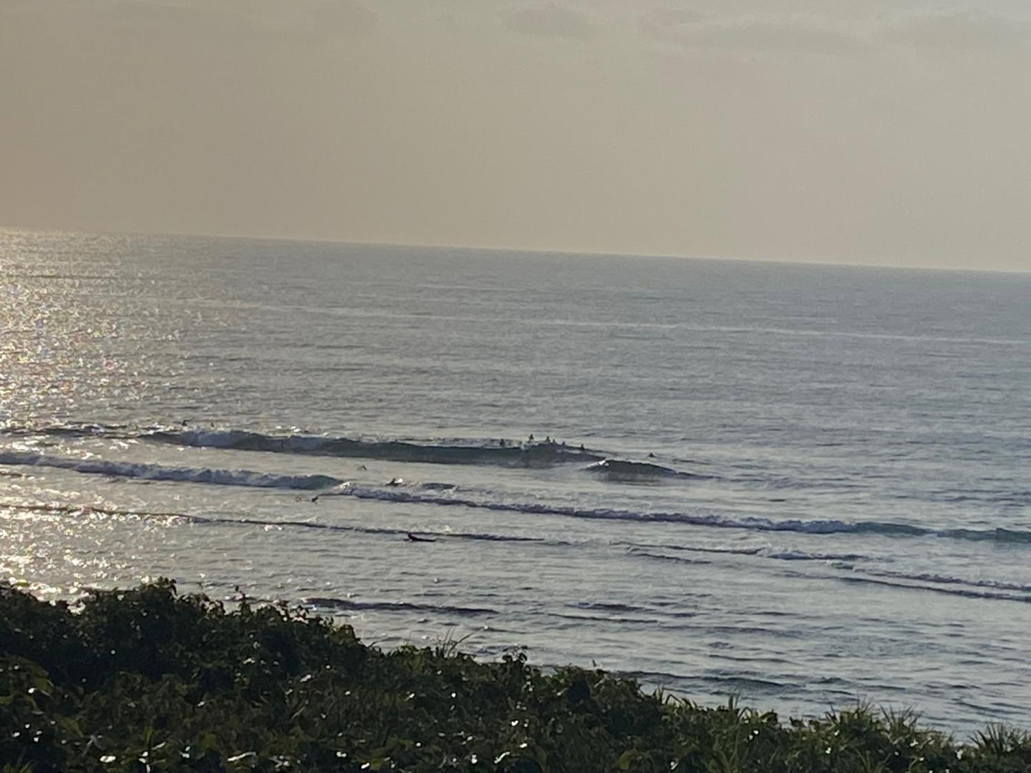 2020 Jan 23th suicide point wave information 2