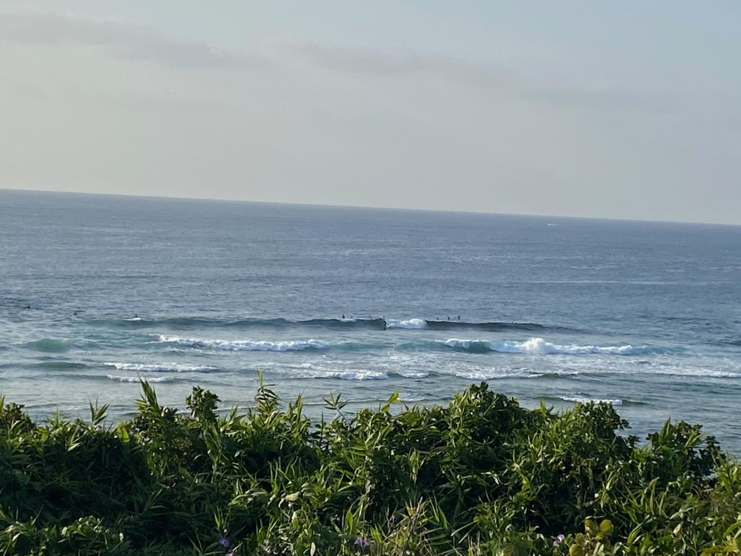 2020 Jan 23th suicide point wave information 3
